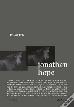 Capa do artigo Escarres