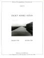Escaut Source Océan - Preview