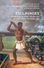 Esclavages : Représentations Visuelles Et Cultures Matérielles - Preview