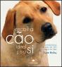 Escolha o Cão Ideal para Si - Preview