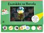 Escondidos na Floresta - Preview