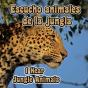 Escucho Animales De La Jungla - Preview