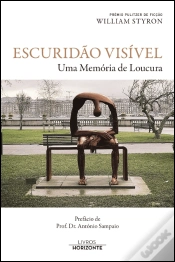 Capa do artigo Escuridão Visível