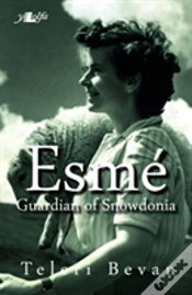 Capa do artigo Esme - Guardian Of Snowdonia
