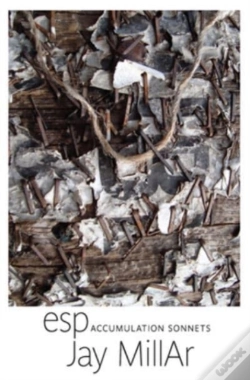 Capa do artigo Esp: Accumulation Sonnets