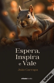 Capa do artigo Espera, Inspira e Vale
