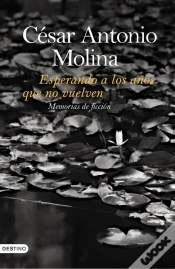 Capa do artigo Esperando A Los Años Que No Vuelven