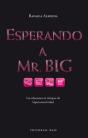 Esperando A Mr. Big - Preview