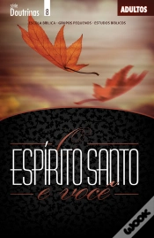 Capa do artigo Espírito Santo E Você | Professor