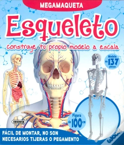Capa do artigo Esqueleto