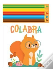 Capa do artigo Esquilo