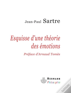 Capa do artigo Esquisse D'Une Theorie Des Emotions