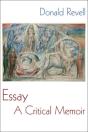 Essay - Preview