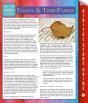 Essays And Term Papers (Speedy Study Guides) - Preview