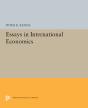 Essays In International Economics - Preview