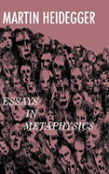 Essays In Metaphysics