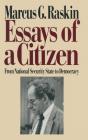 Essays Of A Citizen: From National Security State To Democracy - Preview