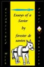 Essays Of A Savior - Preview