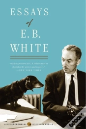 Capa do artigo Essays Of E. B. White