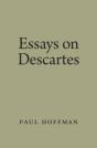 Essays On Descartes - Preview