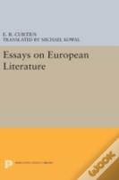 Essays On European Literature
