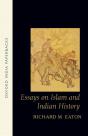 Essays On Islam And Indian History - Preview