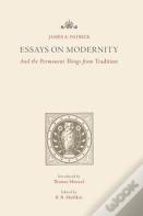 Essays On Modernity