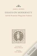 Essays On Modernity
