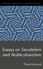 Essays On Secularism And Multiculturalism - Preview