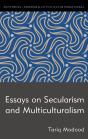 Essays On Secularism And Multiculturalism - Preview