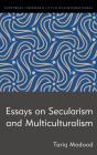 Essays On Secularism And Multiculturalism - Preview