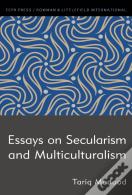 Essays On Secularism And Multiculturalism