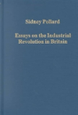 Essays On The Industrial Revolution In Britain - Preview