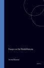 Essays On The Mahabharata - Preview