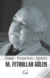 Capa do artigo Essays, Perspectives, Opinions