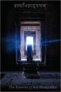 Essence Of Self-Recognition - Preview