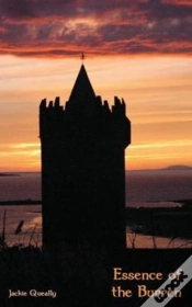 Capa do artigo Essence Of The Burren