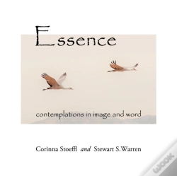 Capa do artigo Essence