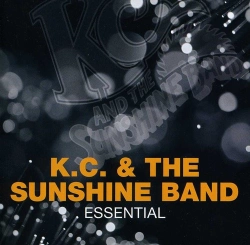 Capa do artigo Essential - CD