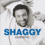 Capa do artigo Essential - CD