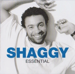 Capa do artigo Essential - CD
