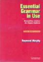 Essential Grammar in Use - Gramática Básica de Língua Inglesa - Preview