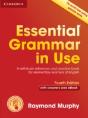 Essential Grammar In Use With Answers And Interactive Ebook - Preview