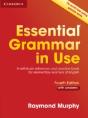 Essential Grammar In Use With Answers - Preview