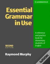 Essential Grammar In Use Without Answers