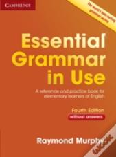 Essential Grammar In Use Without Answers