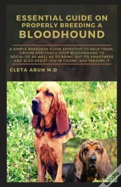 Capa do artigo Essential Guide On Properly Breeding A Bloodhound