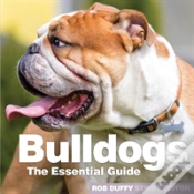 Capa do artigo Essential Guide To Bulldogs