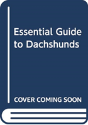 Essential Guide To Dachshunds - Preview