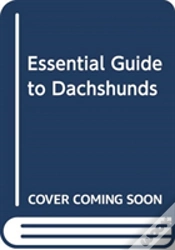 Capa do artigo Essential Guide To Dachshunds